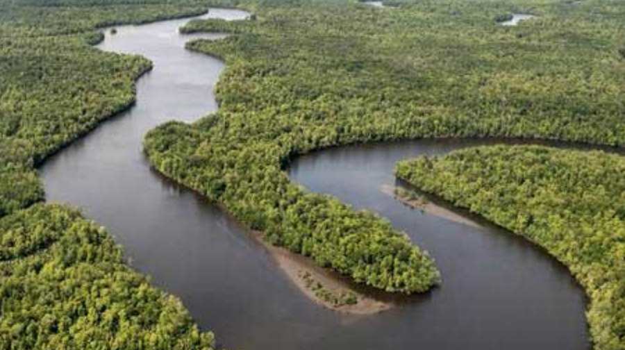 Barito Utara: Permata Tersembunyi di Jantung Kalimantan