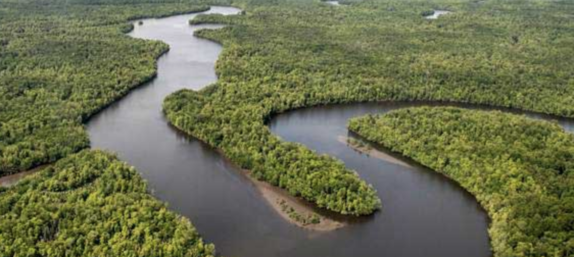 Barito Utara: Permata Tersembunyi di Jantung Kalimantan